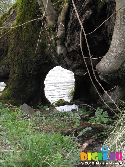 SX22038 Stream flowing through tree trunk